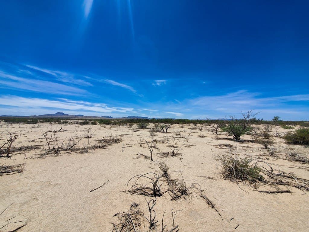5 acres in Brewster County - photo 9