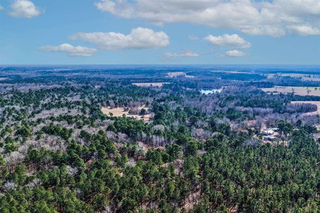 101 acres in Smith County - photo 5