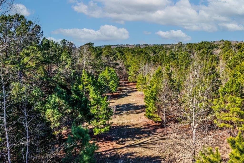 101 acres in Smith County - photo 14