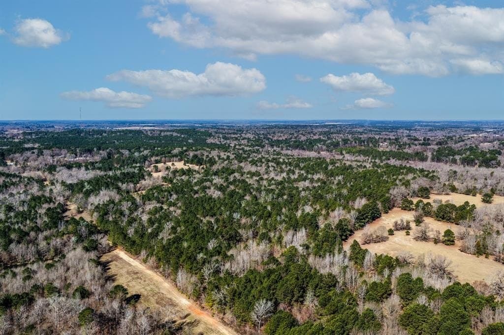 101 acres in Smith County - photo 9