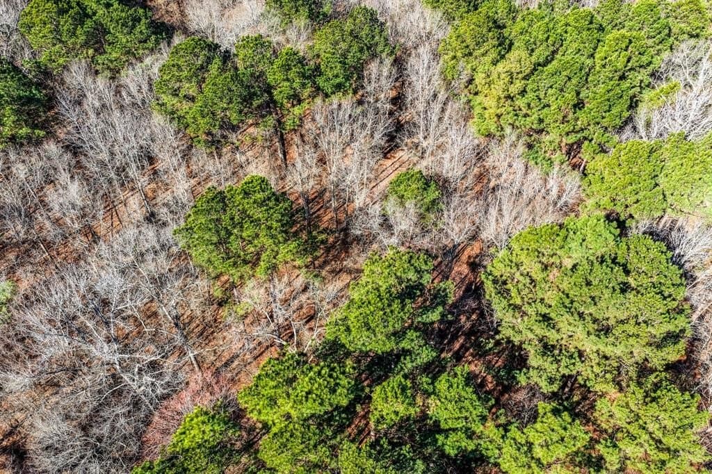 101 acres in Smith County - photo 16