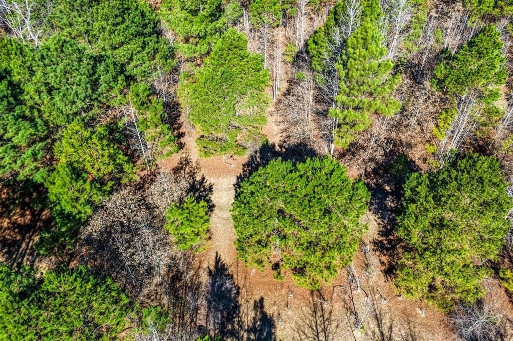 101 acres in Smith County - photo 15