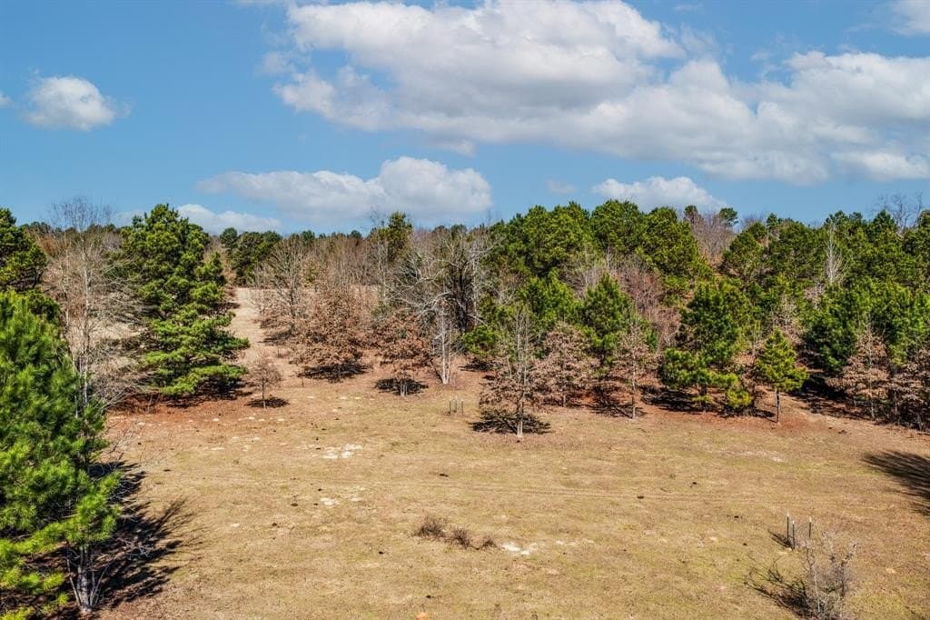 101 acres in Smith County - photo 19