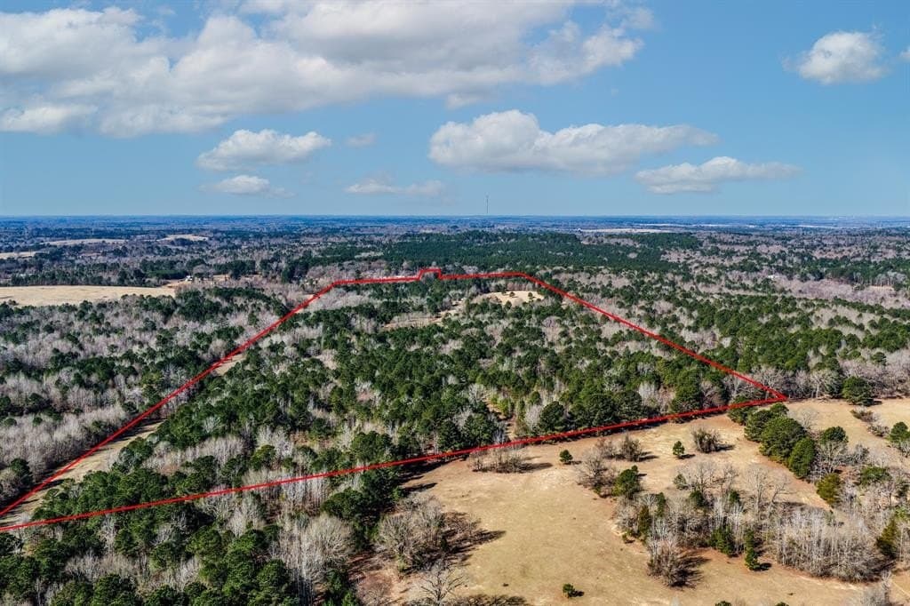 101 acres in Smith County - photo 8