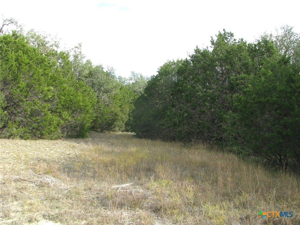 10.01 acres in Hamilton County - photo 12