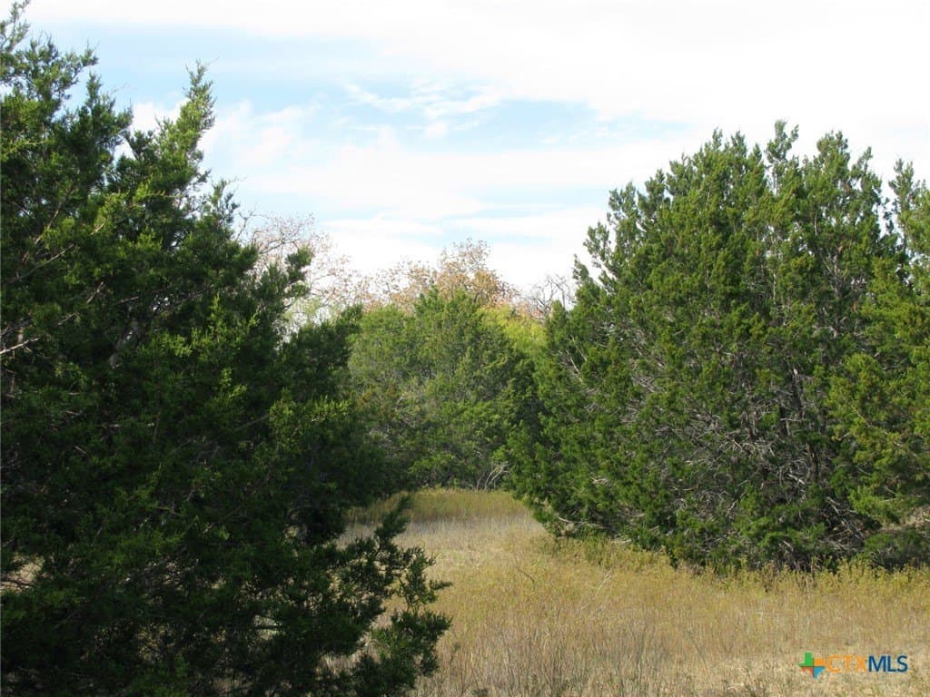 10.01 acres in Hamilton County - photo 3