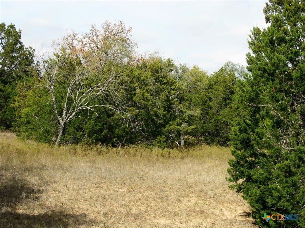 10.01 acres in Hamilton County - photo 4