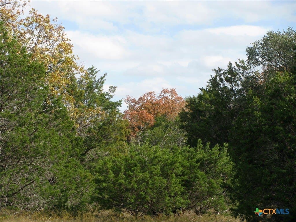 10.01 acres in Hamilton County - photo 15