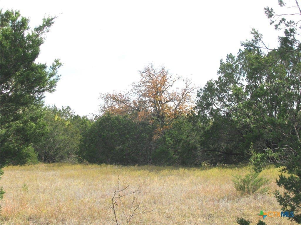 10.01 acres in Hamilton County - photo 14