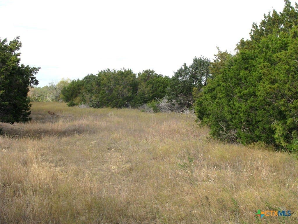 10.01 acres in Hamilton County - photo 7
