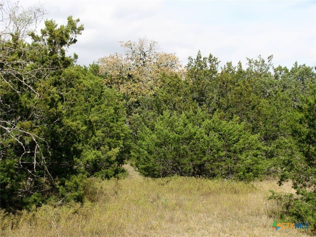 10.01 acres in Hamilton County - photo 5