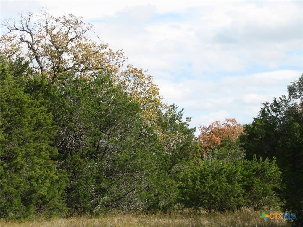 10.01 acres in Hamilton County - photo 16