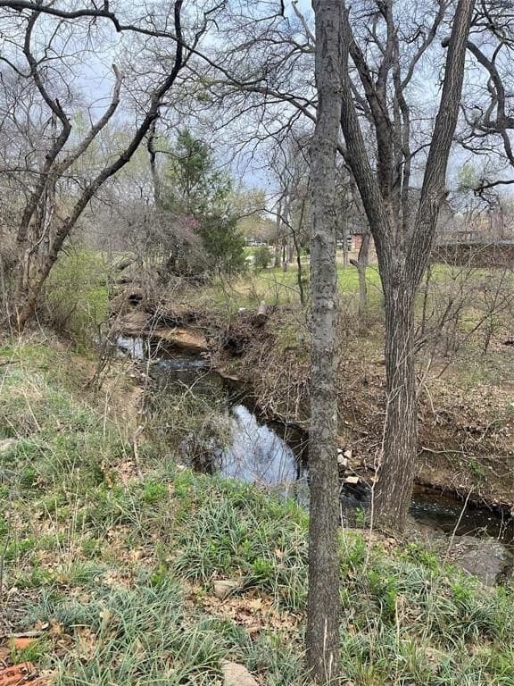 0.35 acres in Denton County - photo 4