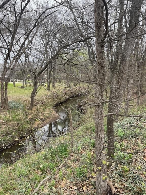 0.35 acres in Denton County - photo 5