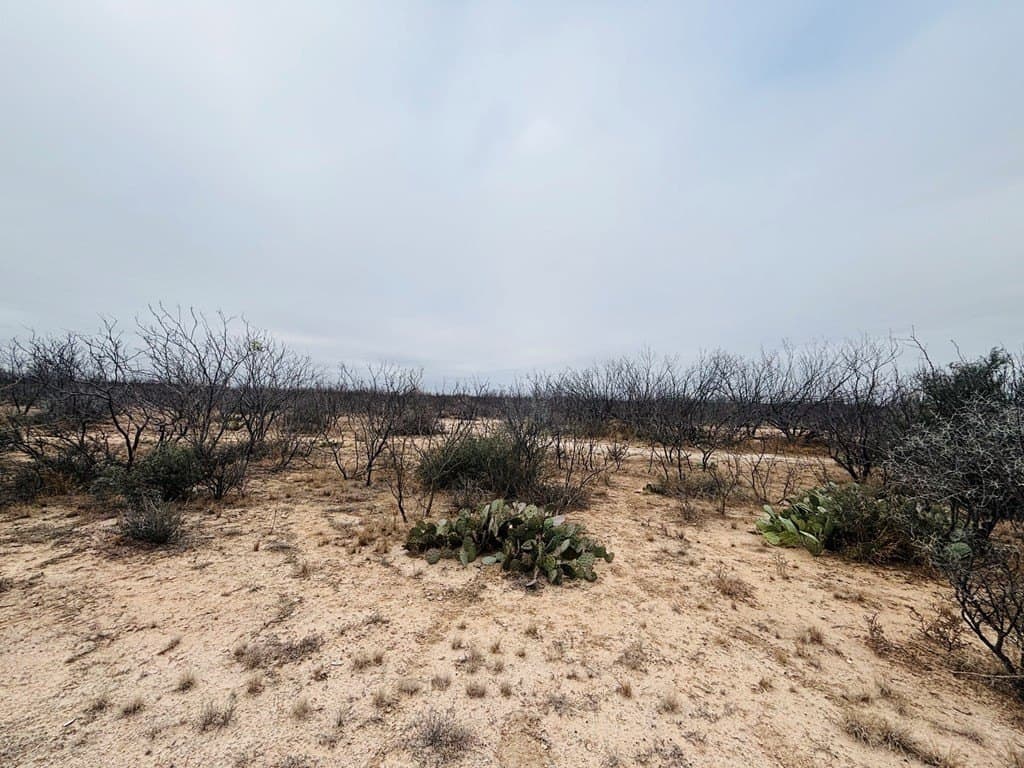15 acres in Tom Green County - photo 5