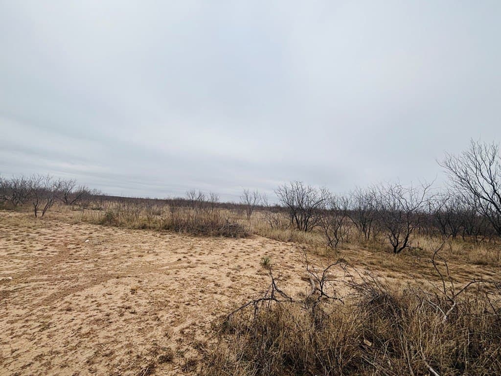15 acres in Tom Green County - photo 3