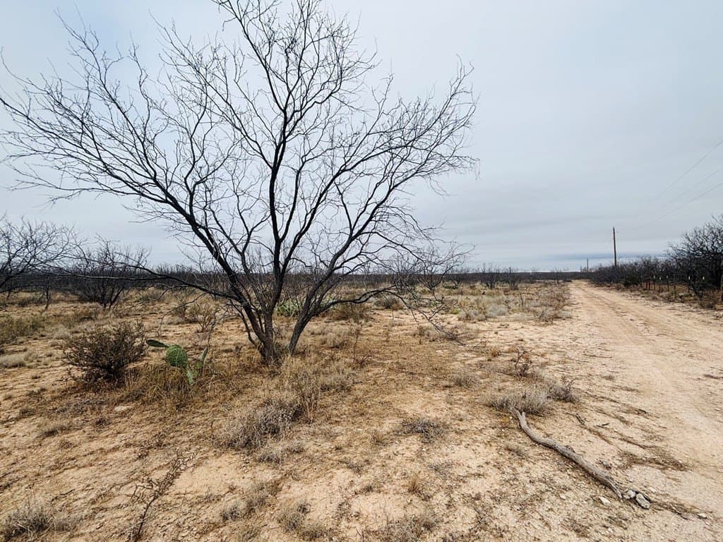 15 acres in Tom Green County - photo 4