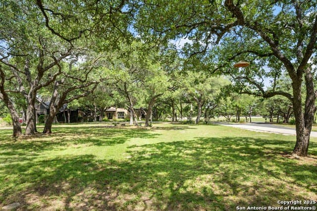 44.87 acres in Comal County - photo 8