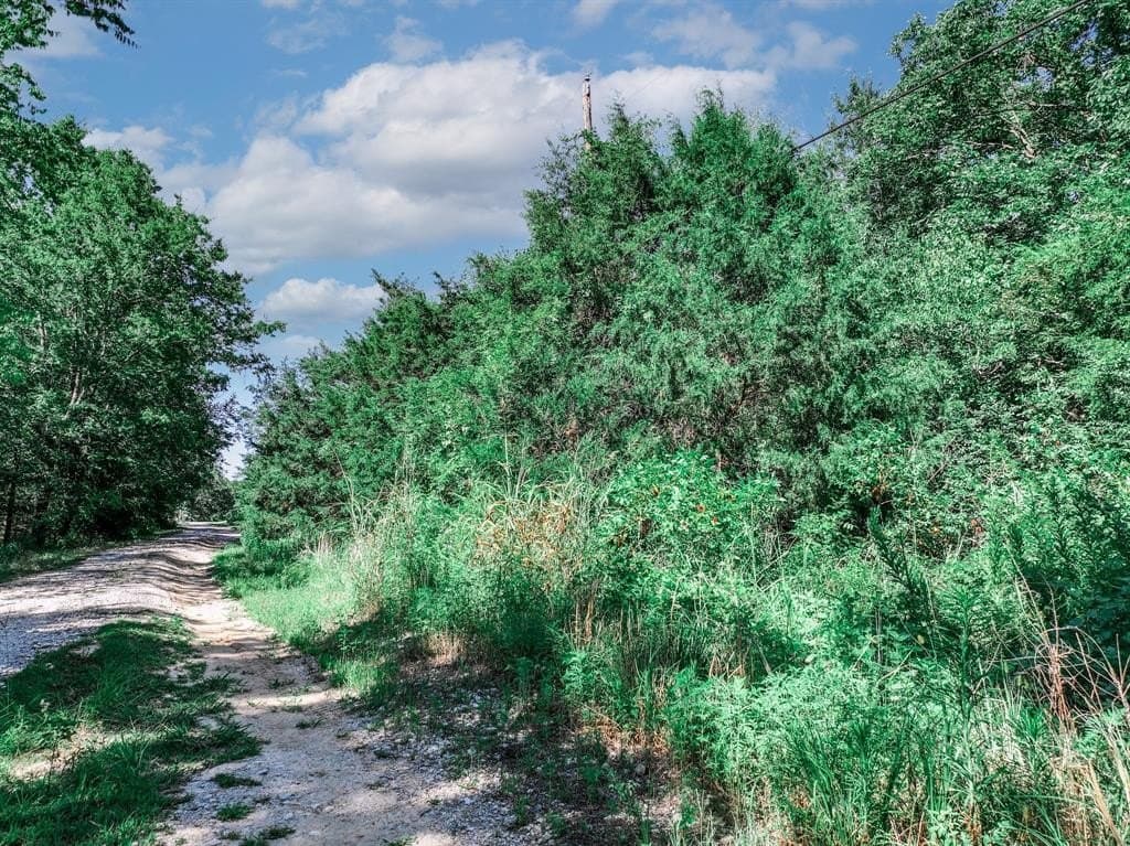 3.84 acres in Van Zandt County - photo 19