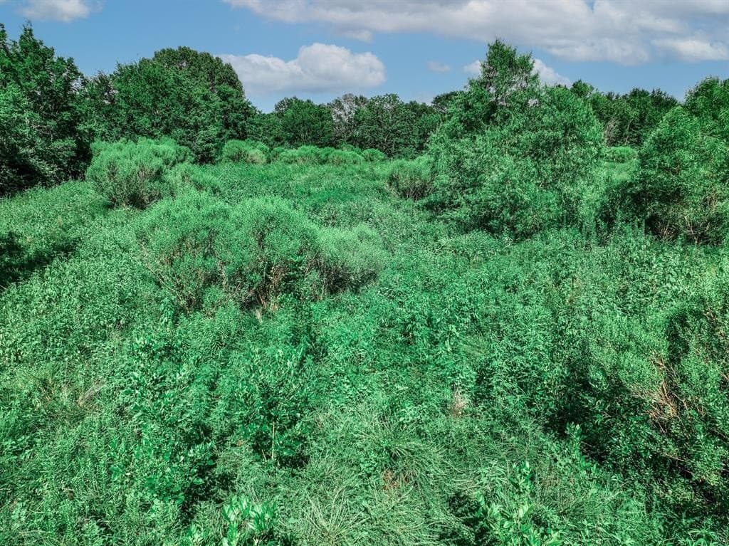 3.84 acres in Van Zandt County - photo 17