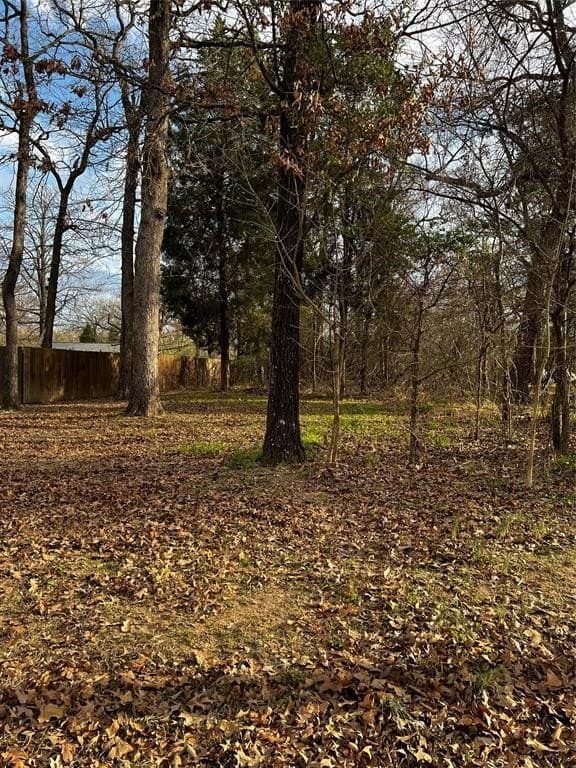 0.2 acres in Henderson County - photo 2