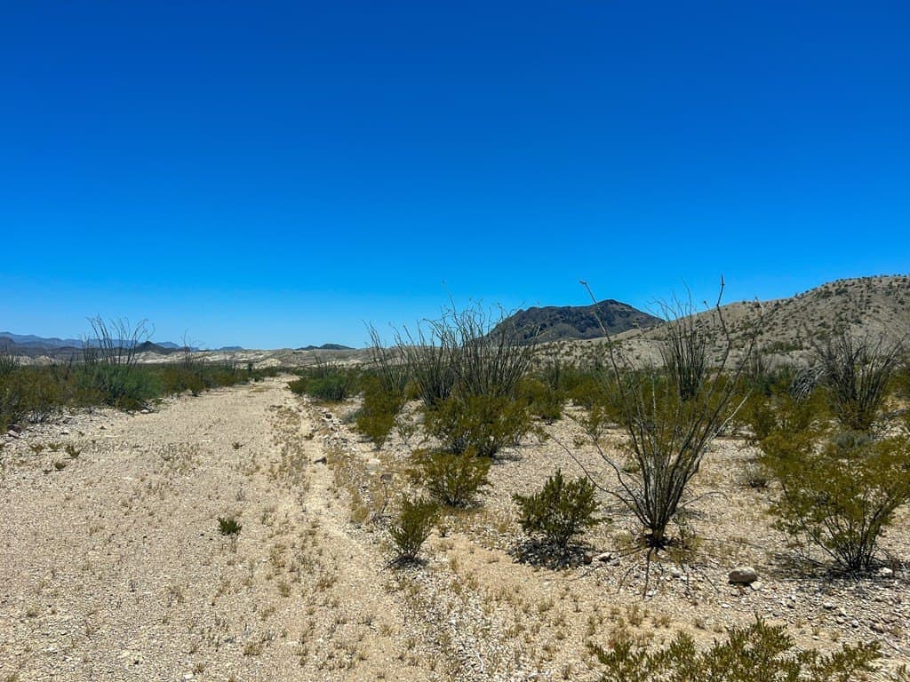 40.1 acres in Brewster County - photo 6