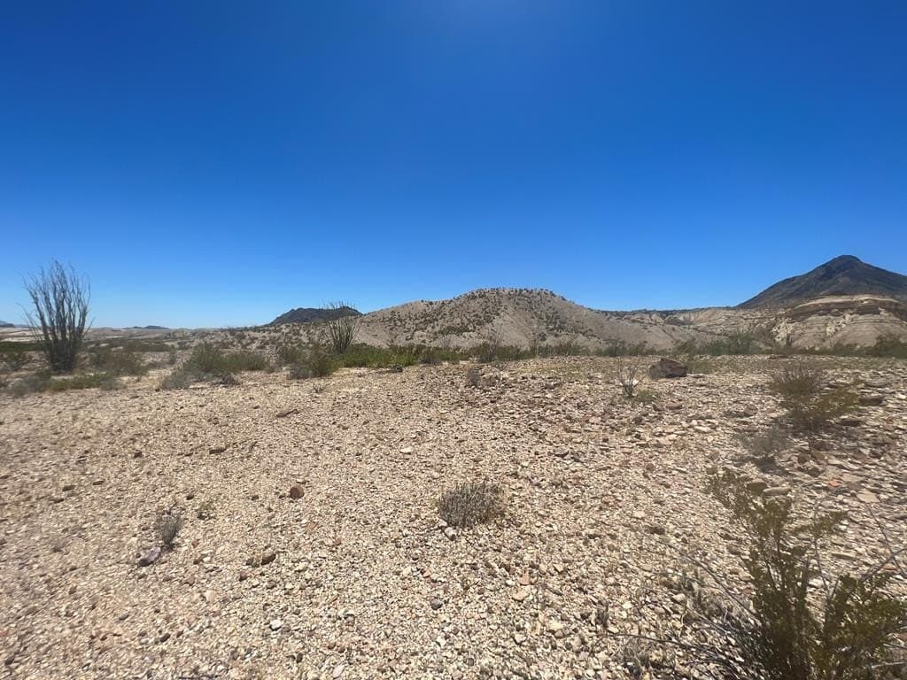 40.1 acres in Brewster County - photo 12