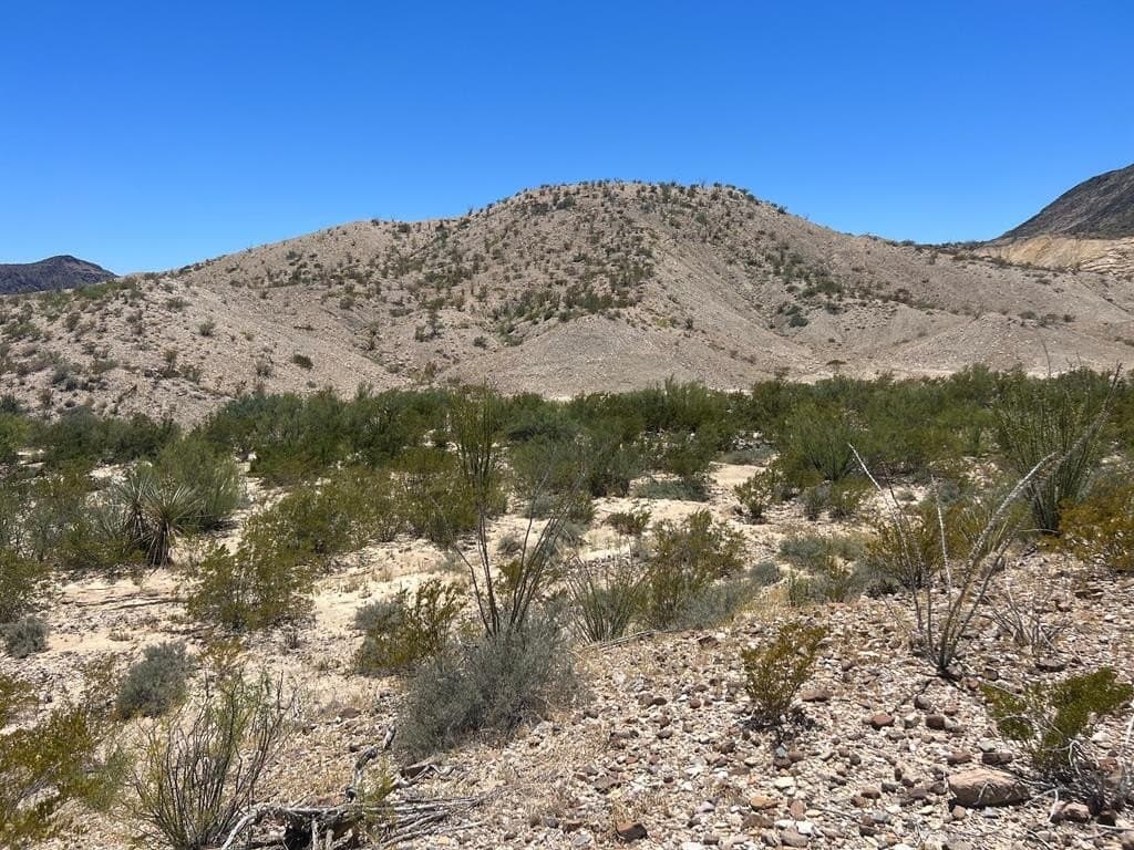 40.1 acres in Brewster County - photo 13