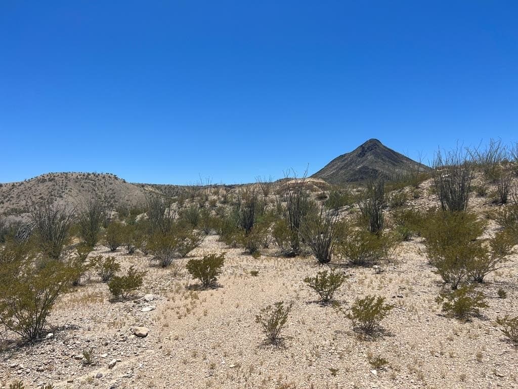 40.1 acres in Brewster County - photo 10