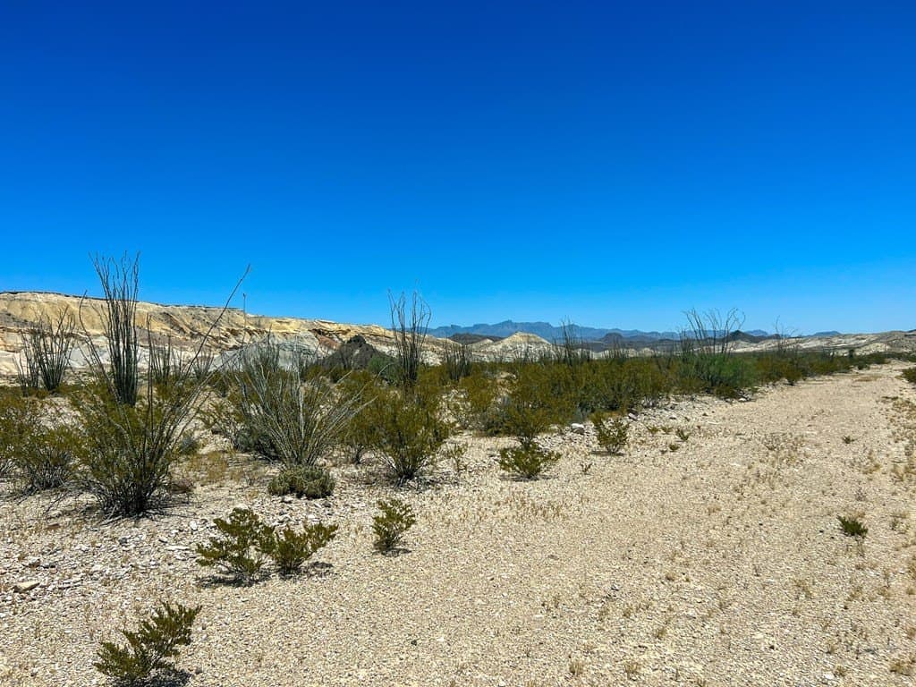 40.1 acres in Brewster County - photo 7