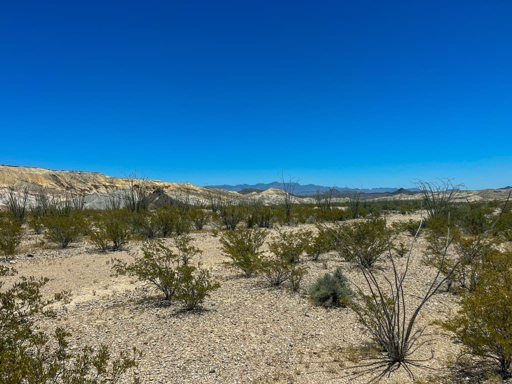 40.1 acres in Brewster County - photo 8
