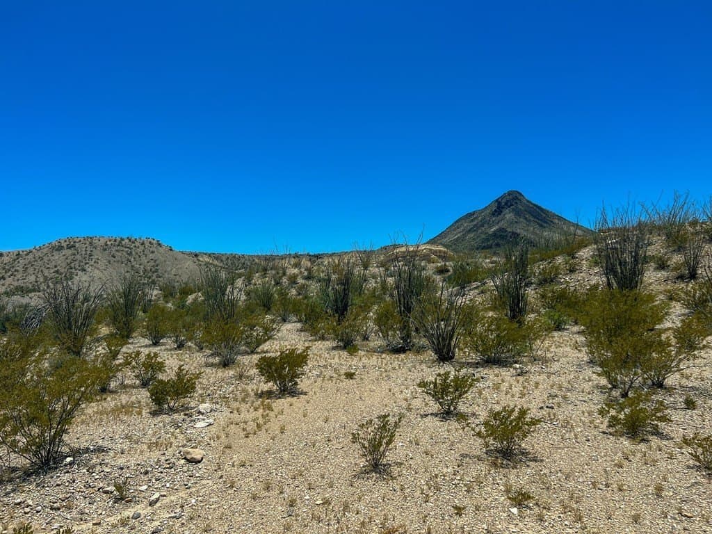 40.1 acres in Brewster County - photo 5