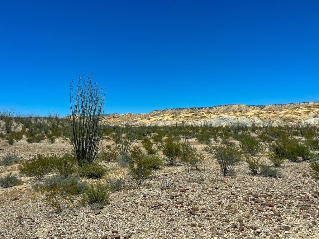40.1 acres in Brewster County - photo 9