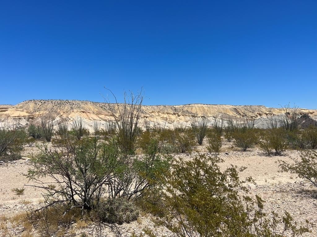 40.1 acres in Brewster County - photo 11
