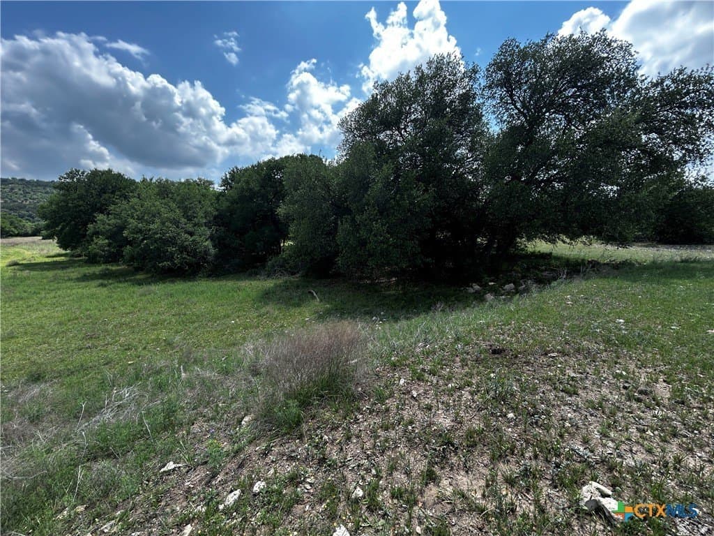 99.19 acres in Bell County - photo 16