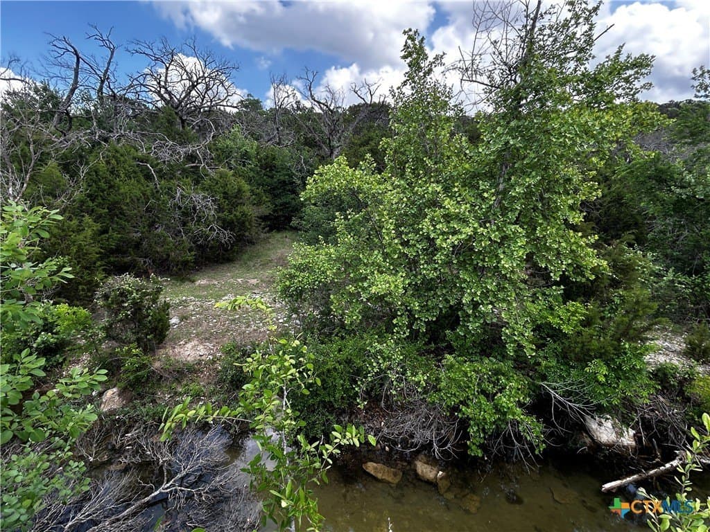 99.19 acres in Bell County - photo 17