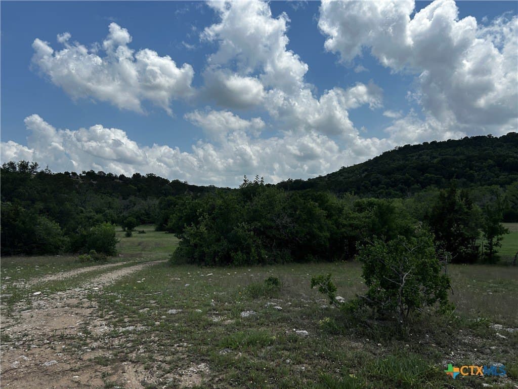 99.19 acres in Bell County - photo 4
