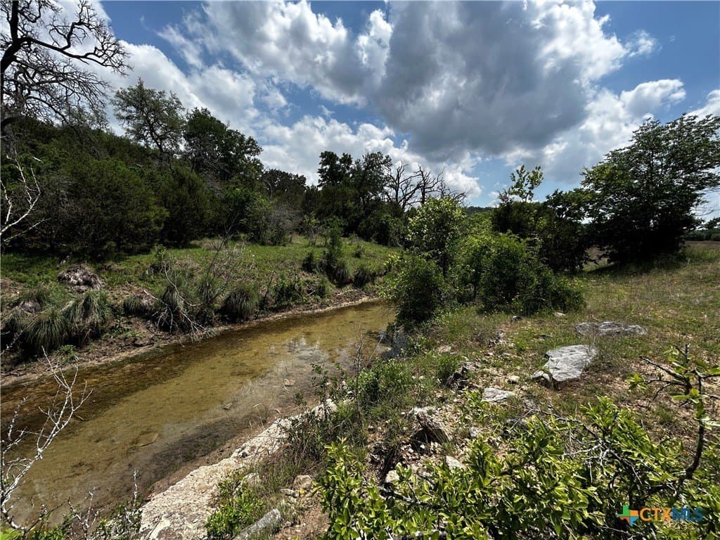 99.19 acres in Bell County - photo 19