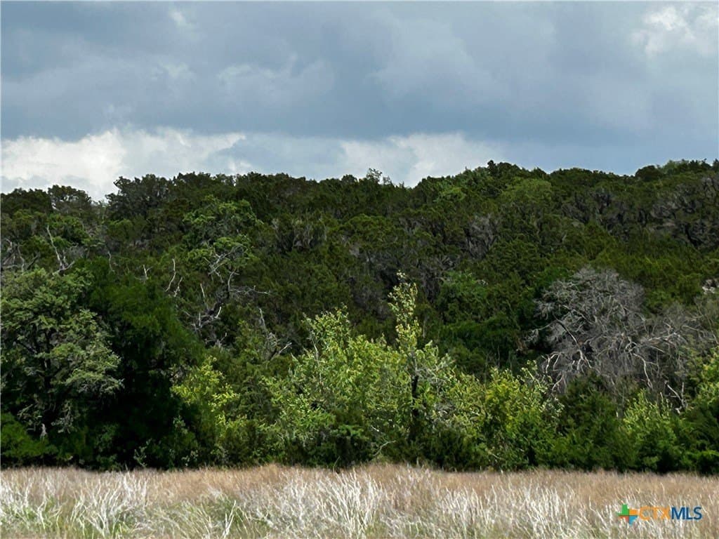 99.19 acres in Bell County - photo 20