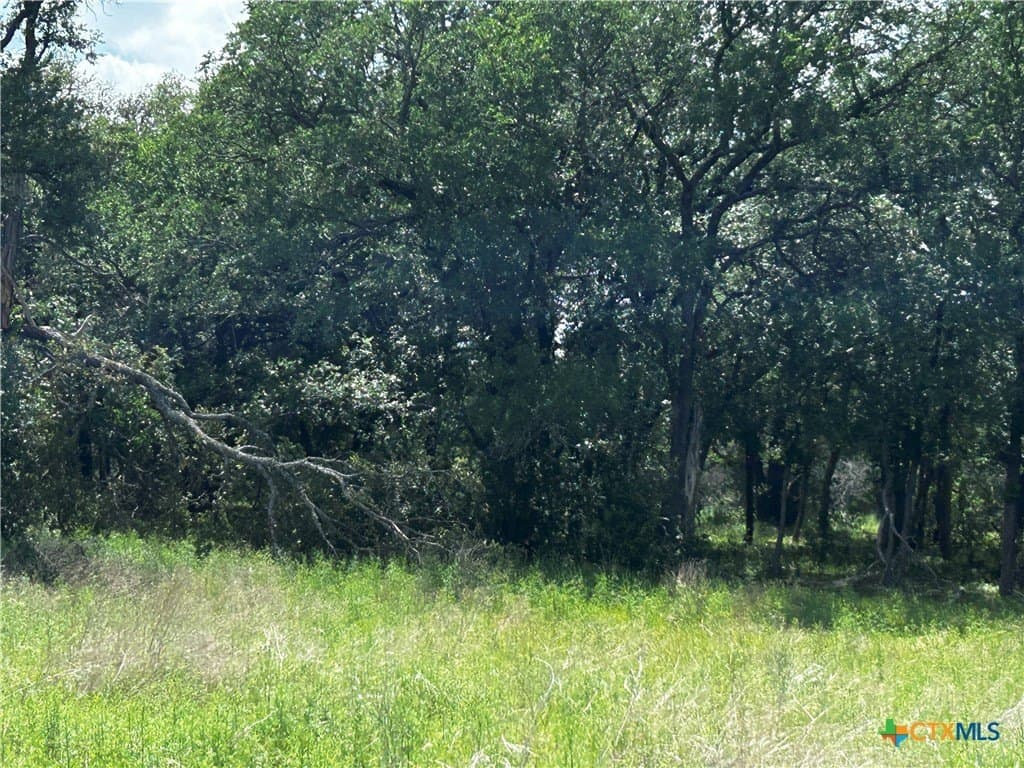 99.19 acres in Bell County - photo 15