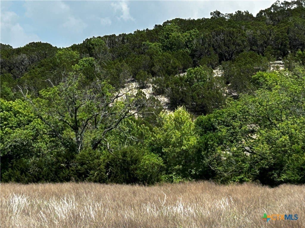 99.19 acres in Bell County - photo 21