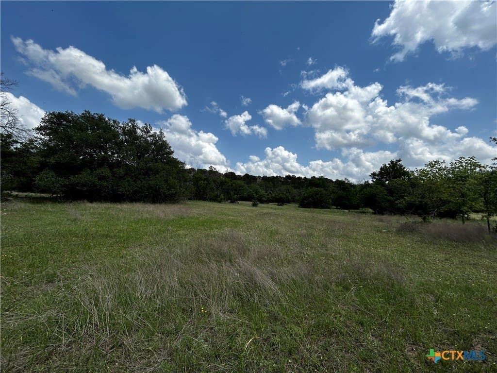 99.19 acres in Bell County - photo 22