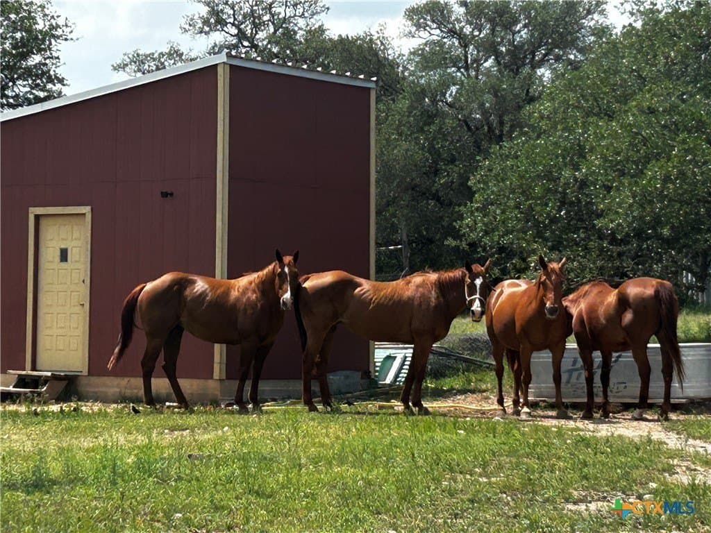 99.19 acres in Bell County - photo 24