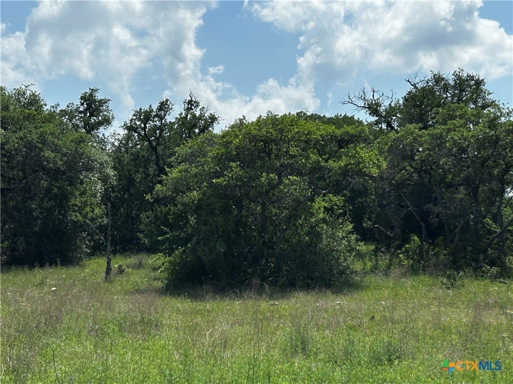 99.19 acres in Bell County - photo 14