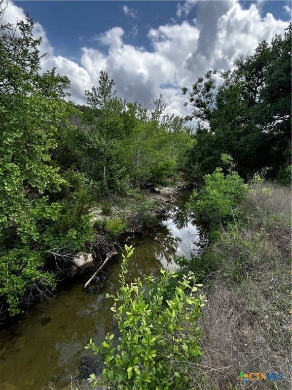 99.19 acres in Bell County - photo 18