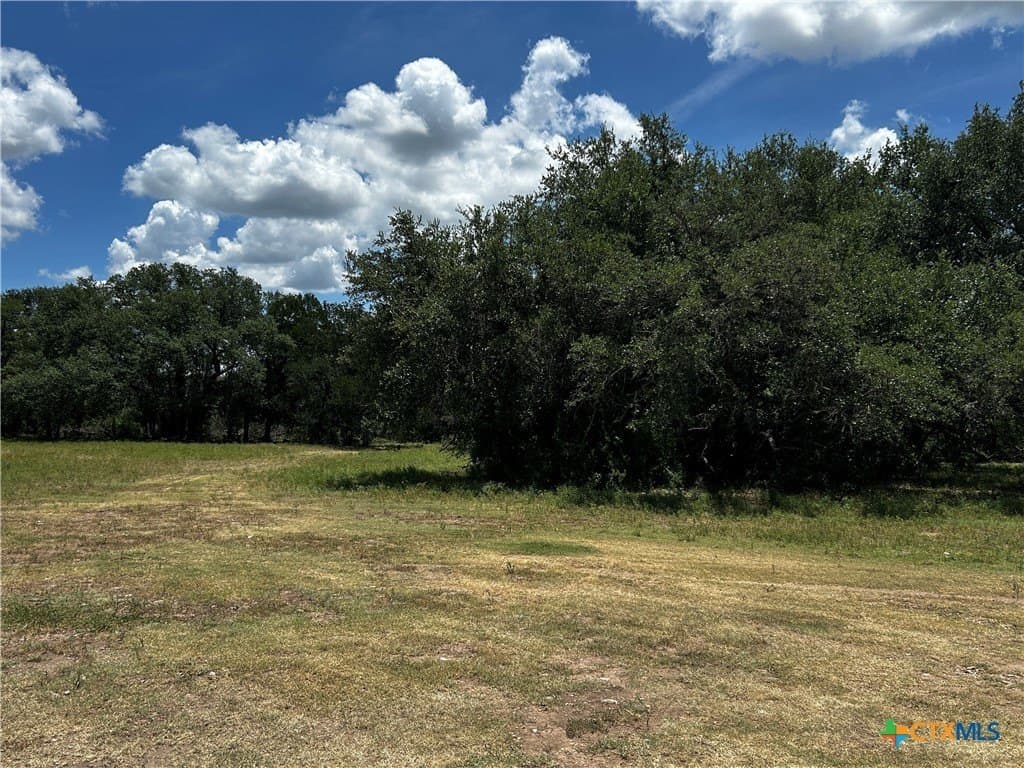 99.19 acres in Bell County - photo 7
