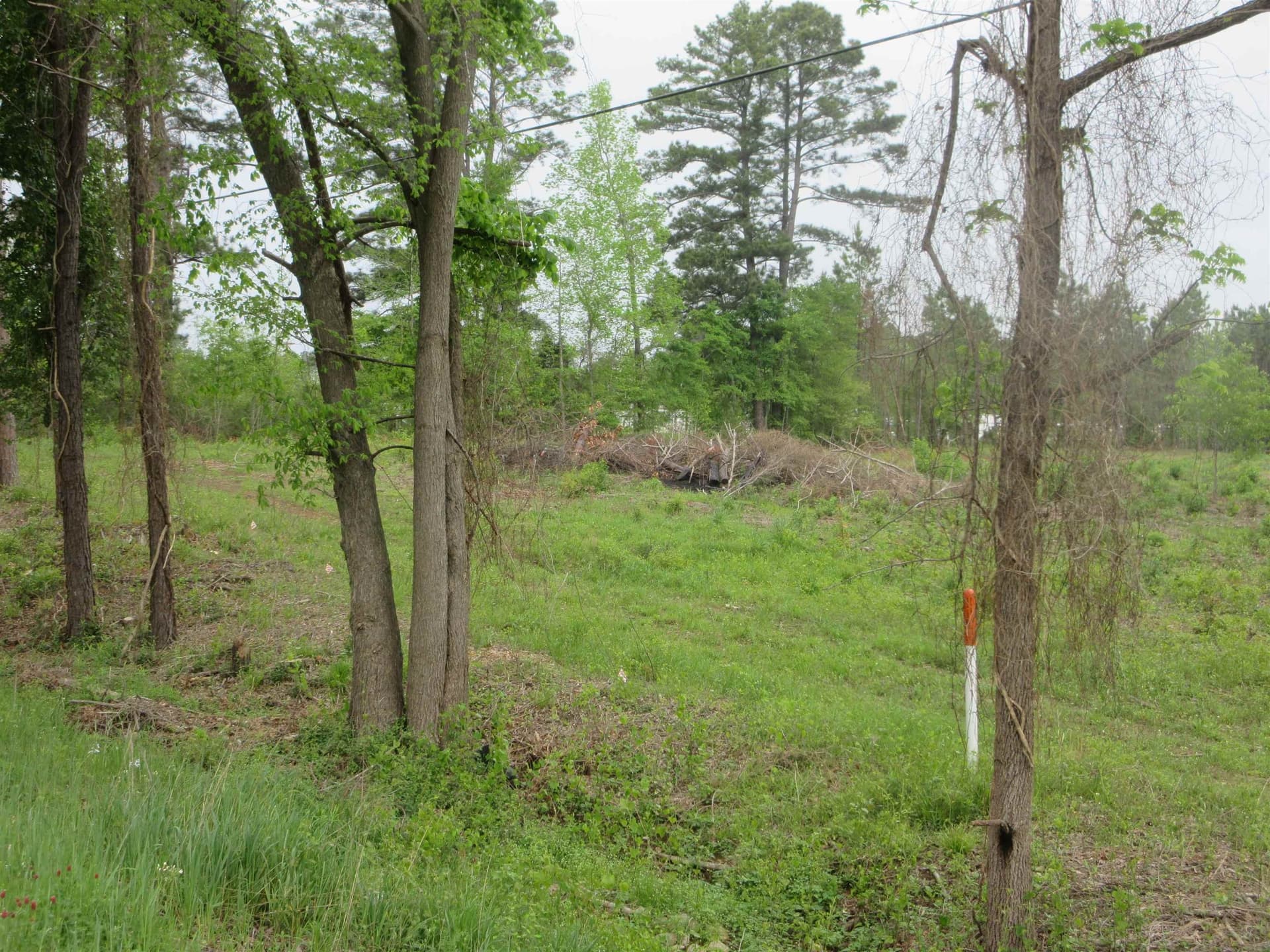 13.07 acres in Gregg County - photo 16