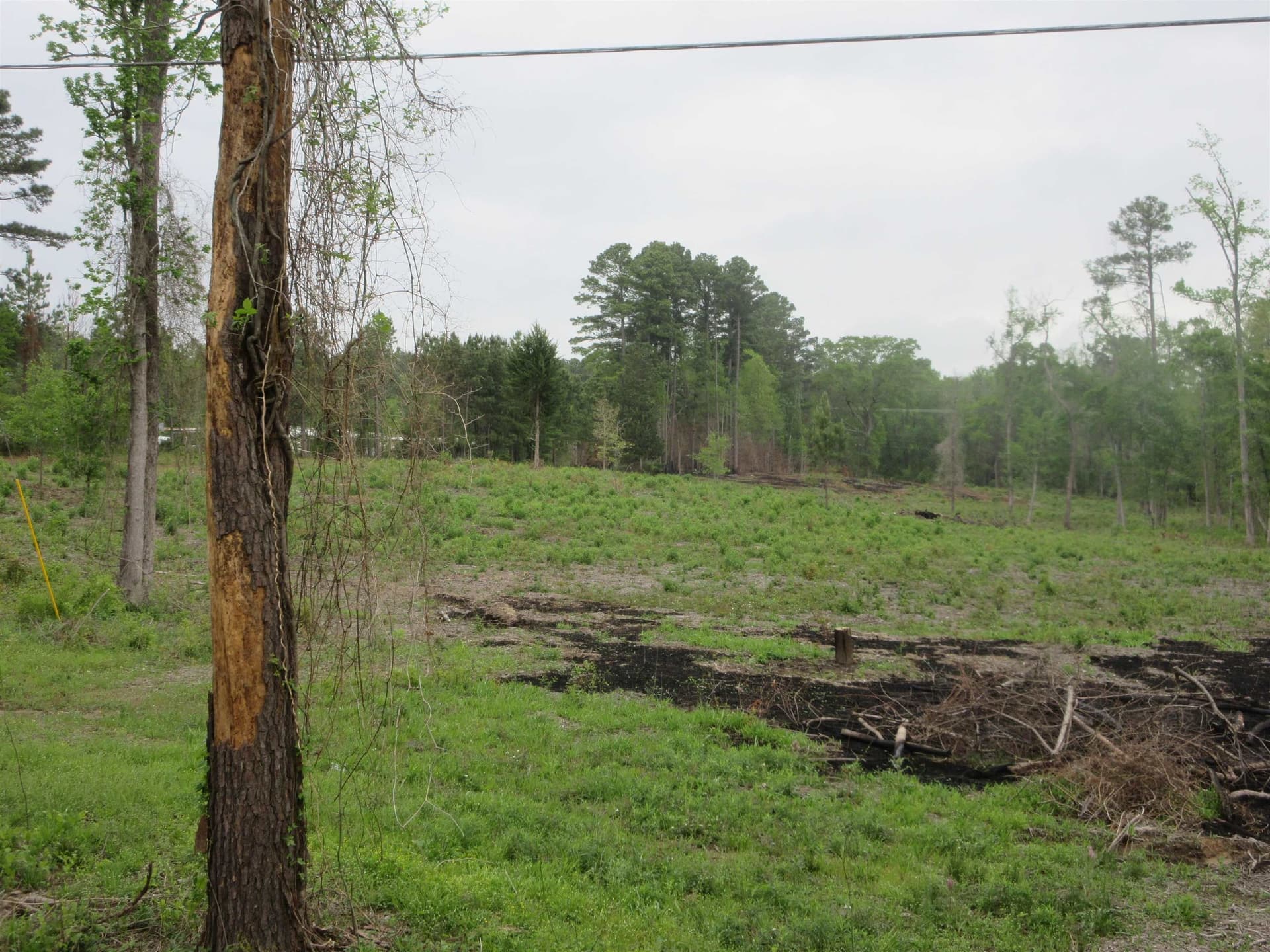 13.07 acres in Gregg County - photo 14
