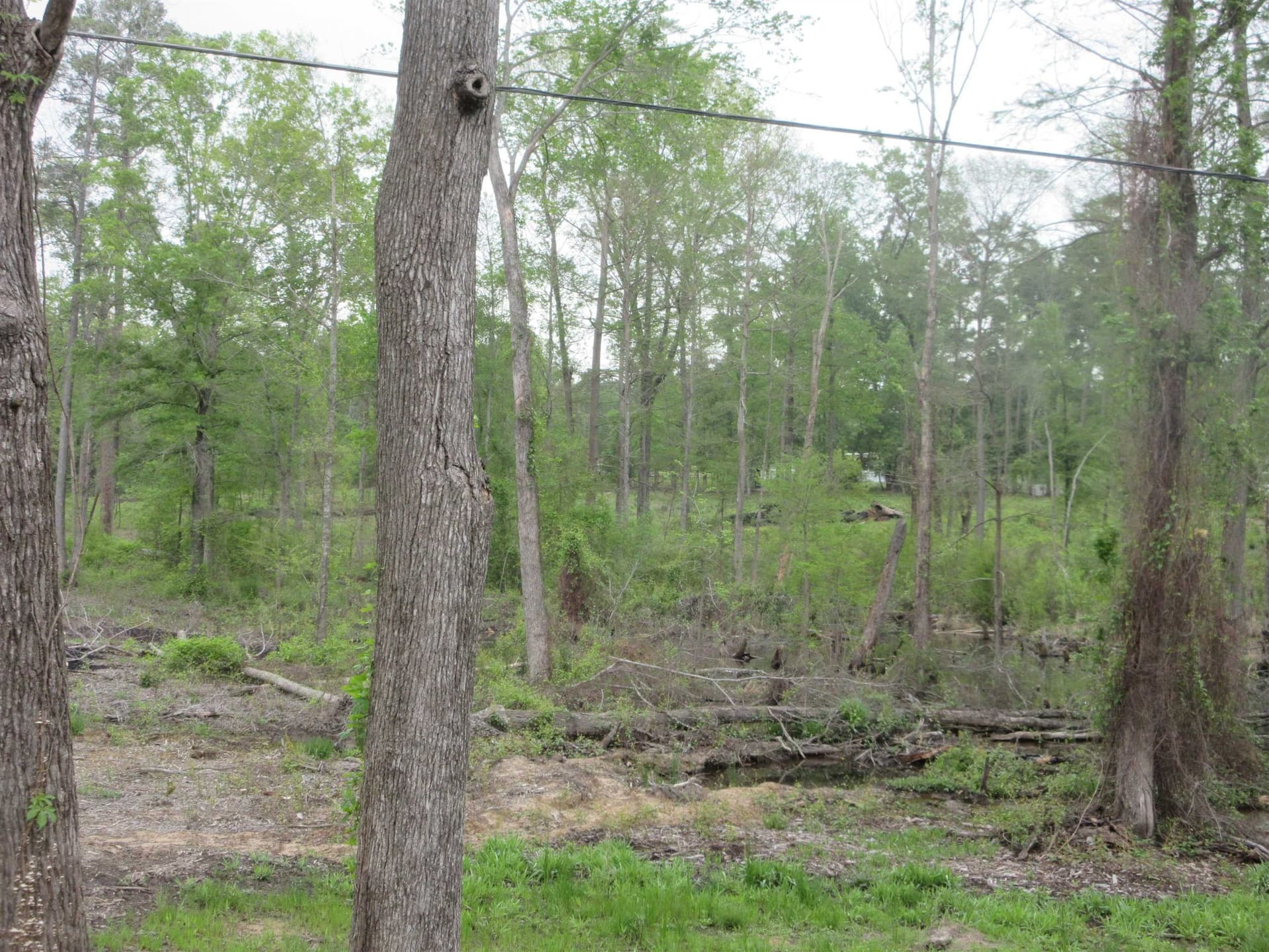 13.07 acres in Gregg County - photo 13