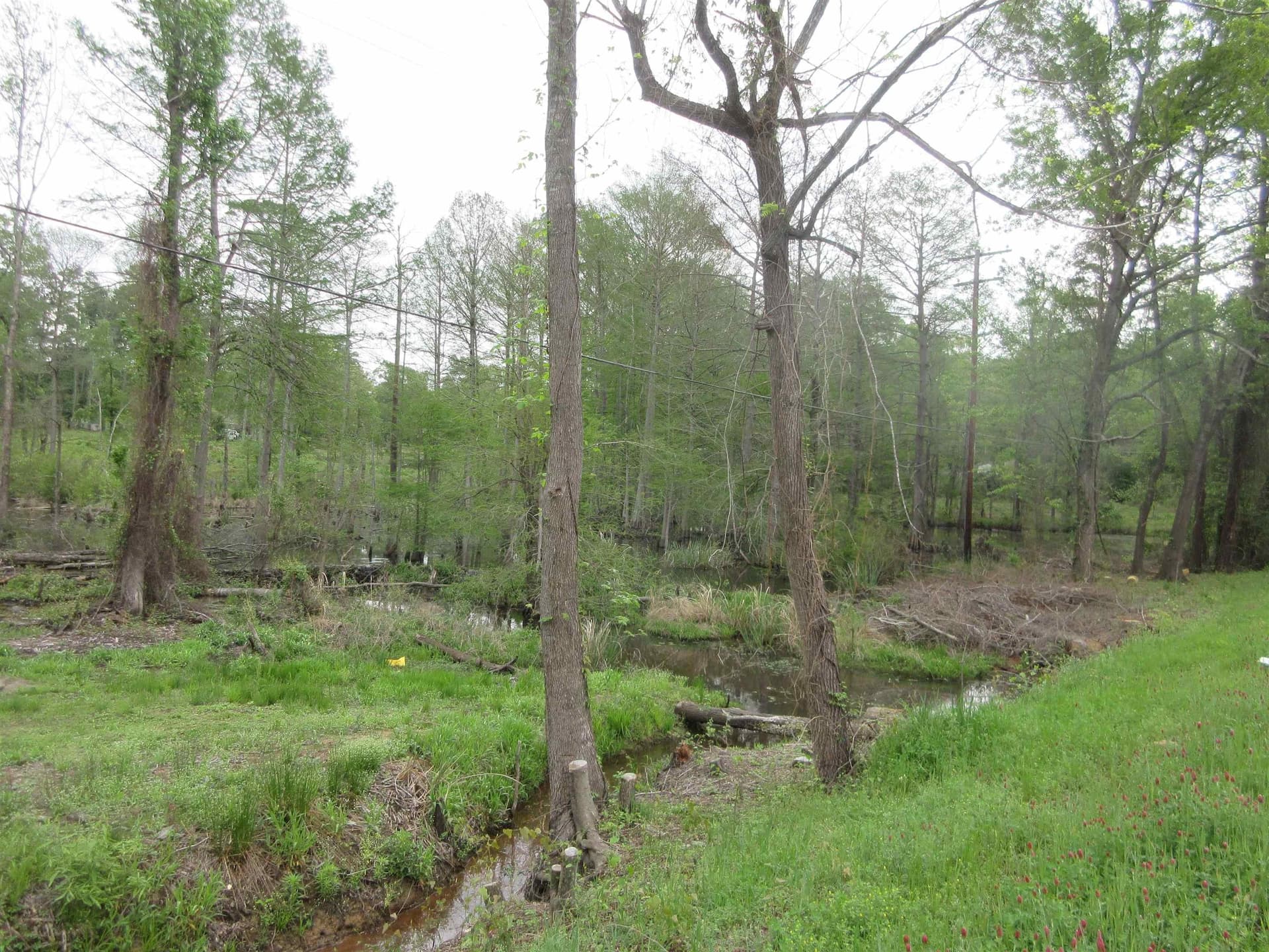 13.07 acres in Gregg County - photo 11